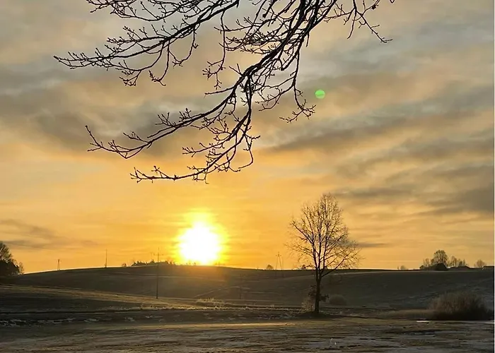 Na Lace U Pradziadka Wiele